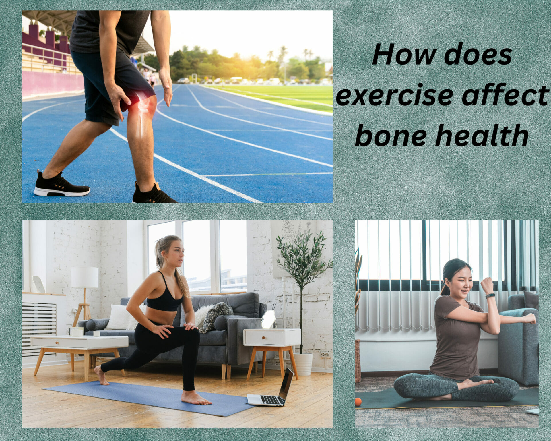 How Does Exercise Affect Bone Health Health Fitness Weight Loss