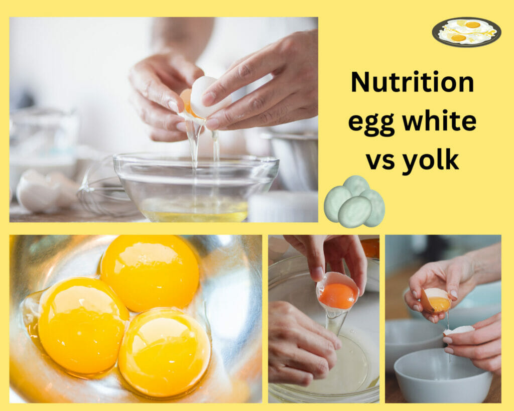 nutrition-egg-white-vs-yolk-health-fitness-weight-loss