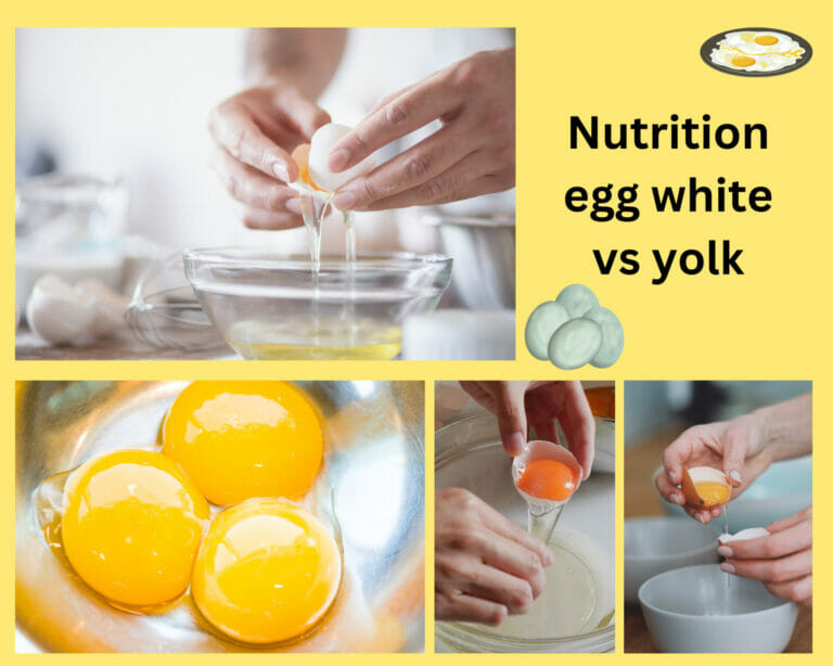 Nutrition egg white vs yolk